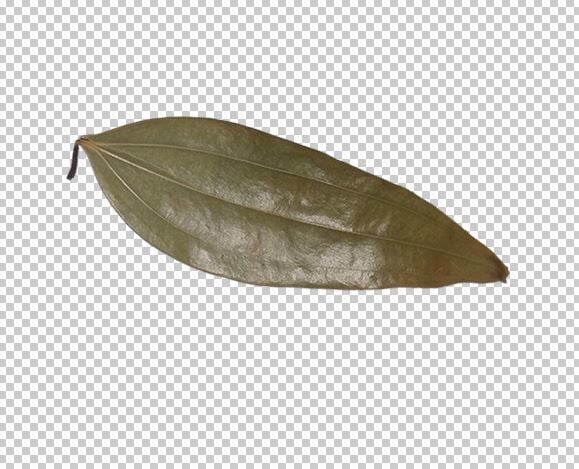 Bay Leaf Transparent Background Photo Free Download