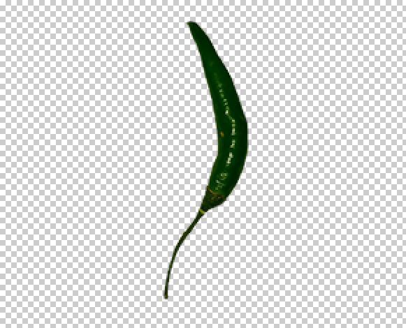 Green Chilli Png Photo Free Download