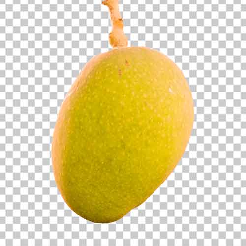 Yellow Mango Png Photo Free Download