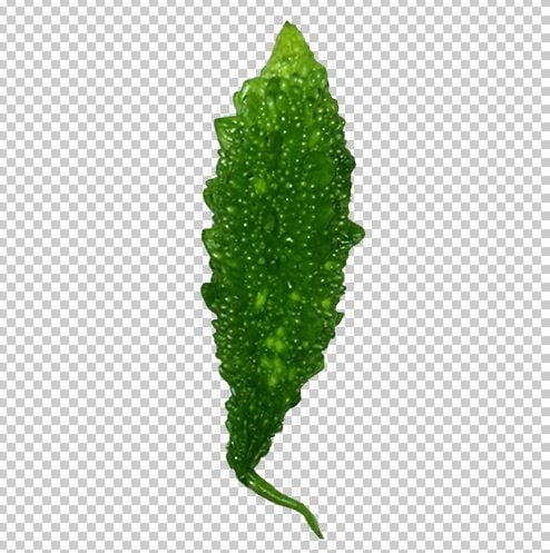 Bitter Gourd Png Transparent Photo Free Download