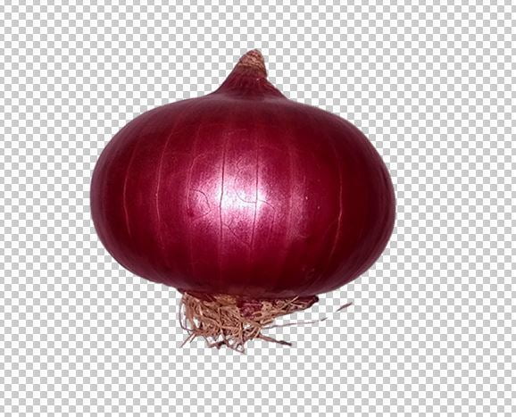 Onion Png Photo Free Download