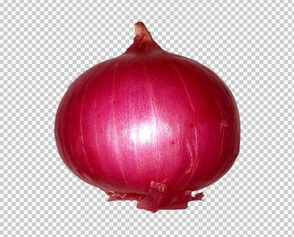 Onion Transparent Png Photo Free Download