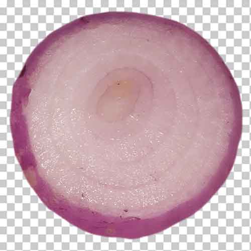 Transparent Onion Slice Png Photo Free Download