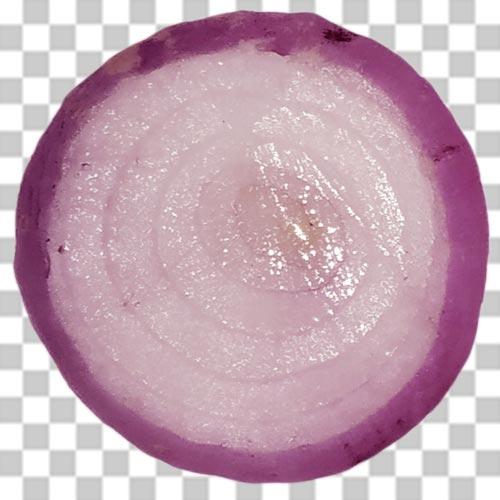 Best 100+ Onion Slice Png Photo Free Download