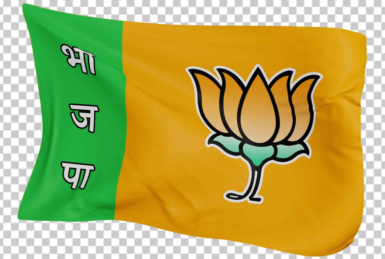 Bjp Bharatiya Janata Party Flag