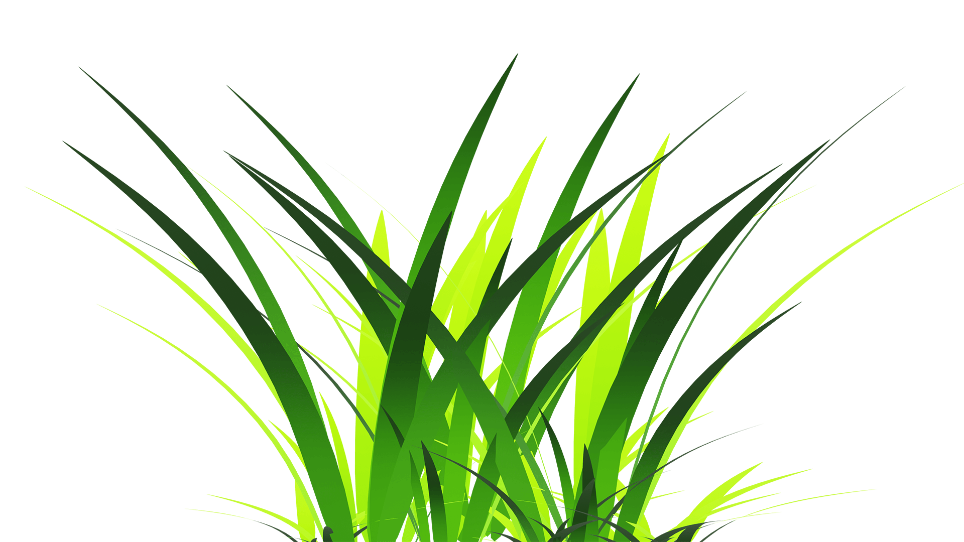 Grass Png Transparent Image Free  Download Photo Free Download