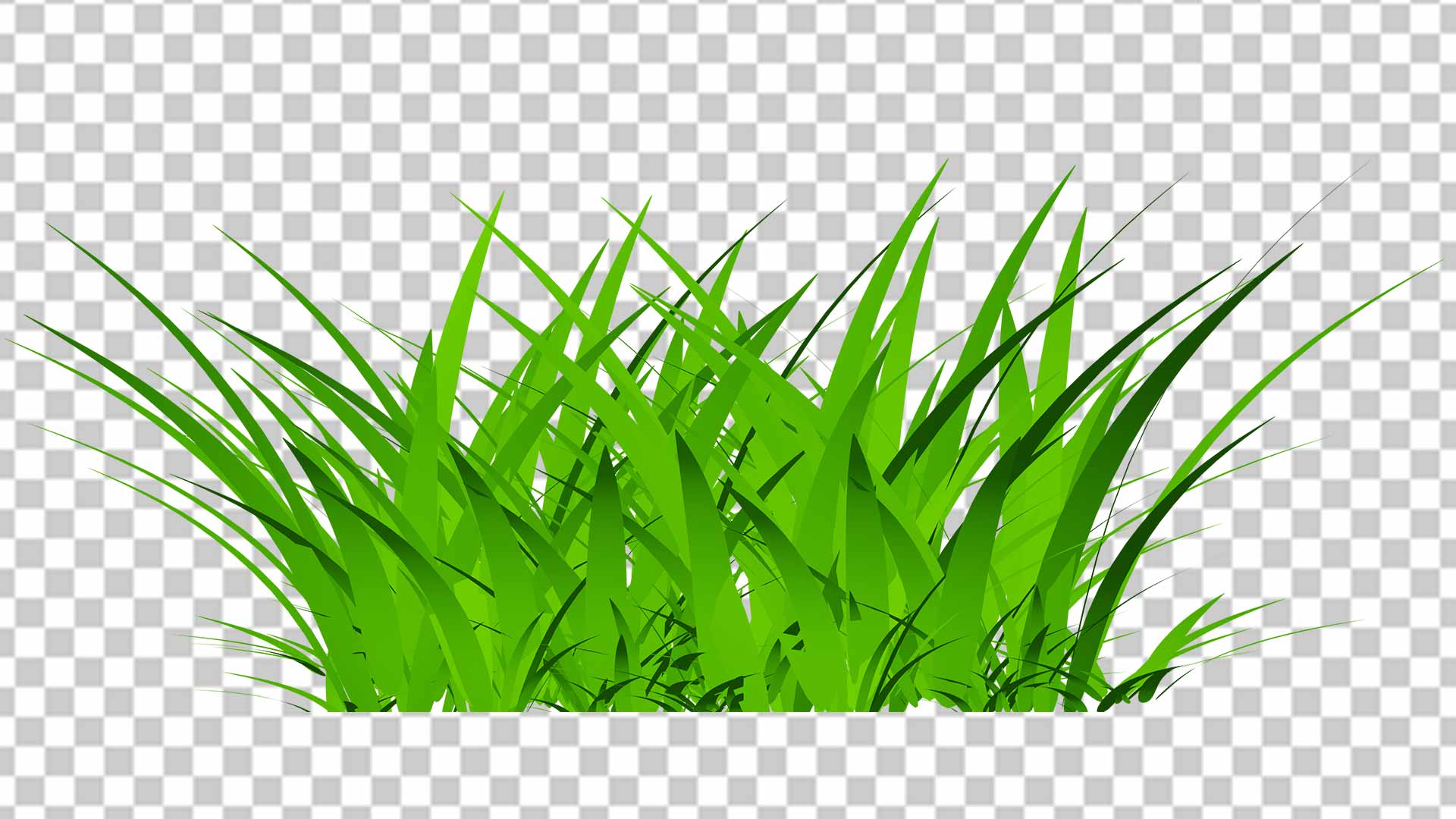 grass transparent png