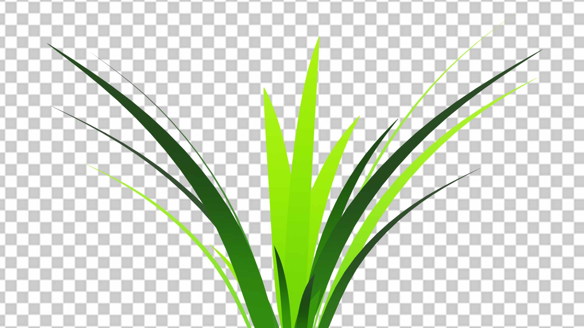 Grass Png Image Download Photo Free Download