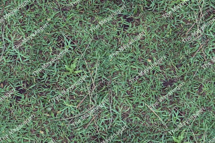 Grass Texture Seamless 4k Image Photo Free Download