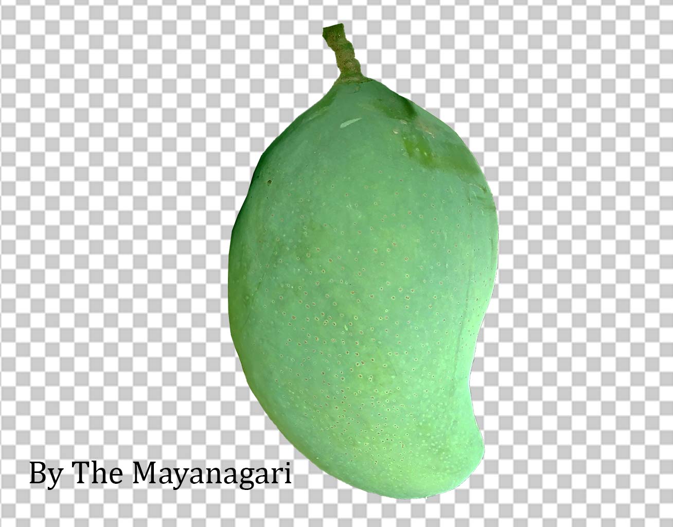 Mango Png Transparent Image Photo Free Download